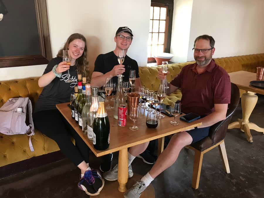 Cape Town: Full-Day Stellenbosch and Franschhoek Wine Tour - What the guiding is really like