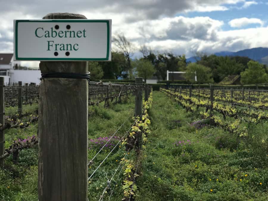 Cape Town: Full-Day Stellenbosch and Franschhoek Wine Tour - Babylonstoren: gardens before the first glass