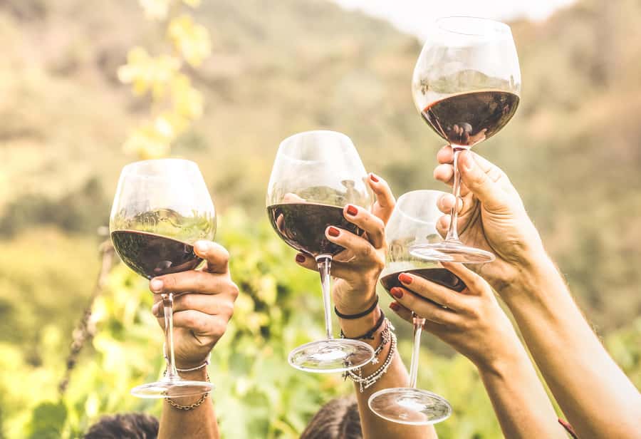 Cape Town: Full-Day Wine Tasting Tour with Wine Tram - Tokara and the Taste of Cape Blends