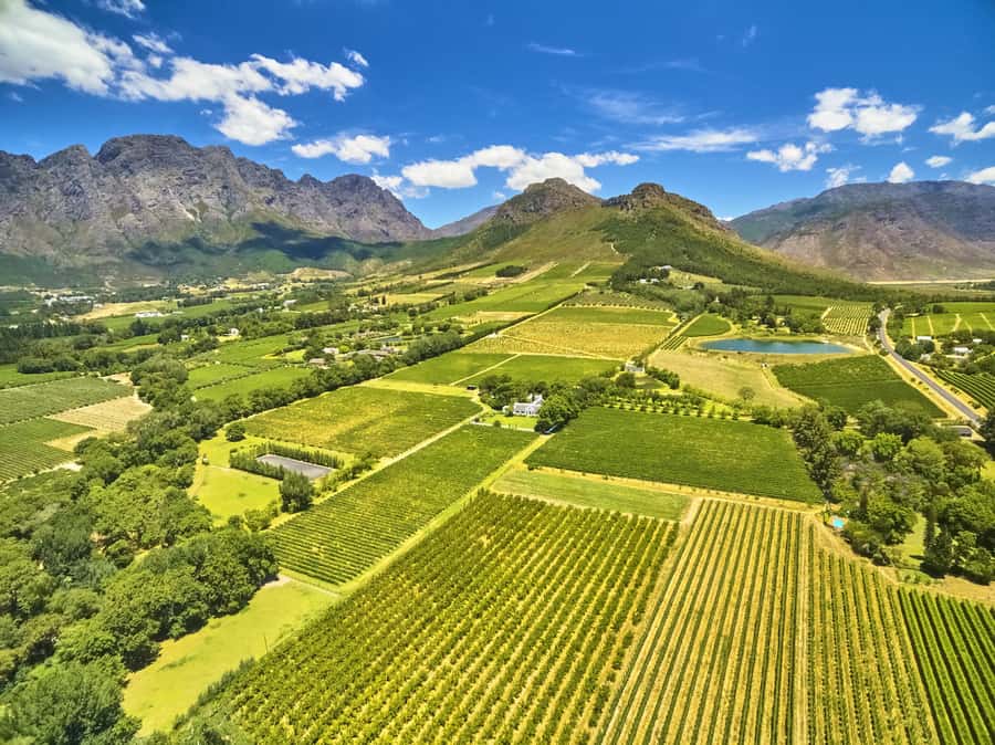 Cape Town: Full-Day Wine Tasting Tour with Wine Tram - Riding the Franschhoek Wine Tram