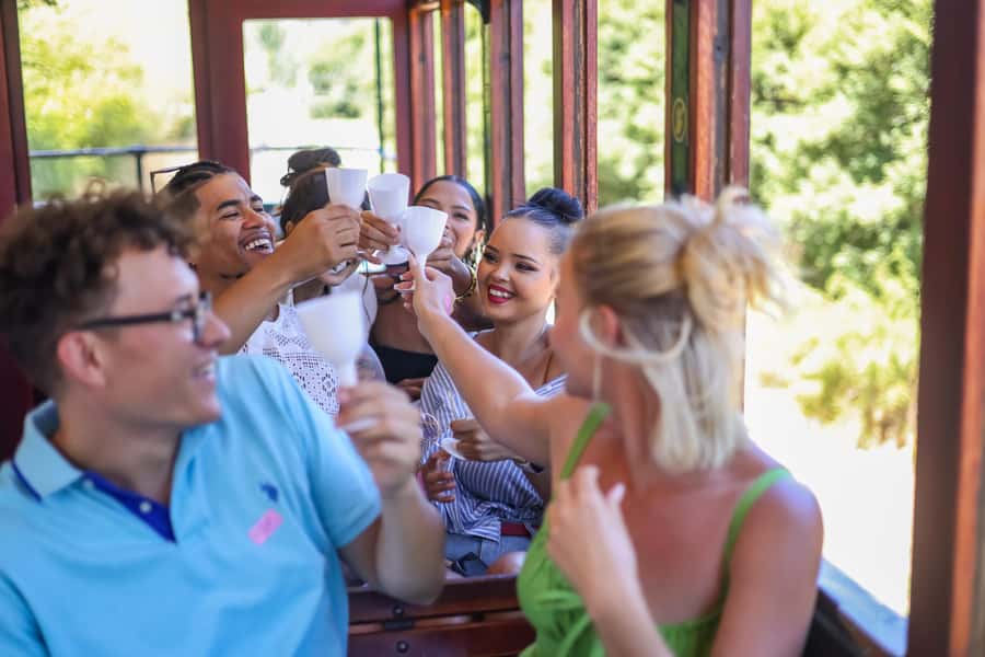Cape Town: Full-Day Wine Tasting Tour with Wine Tram - Price, Pace, and Overall Value