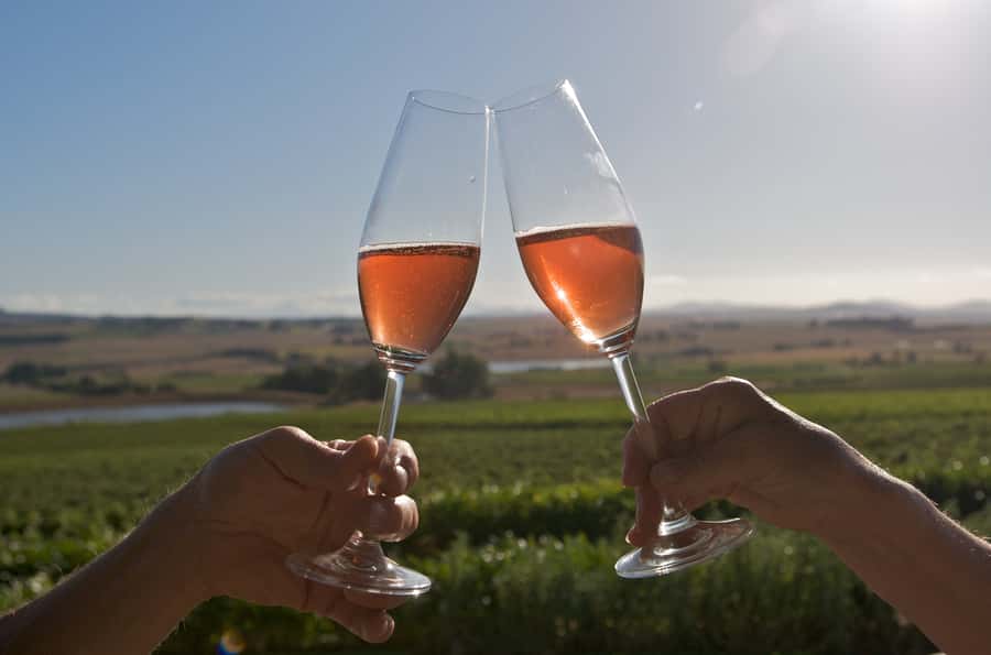 Cape Town: Full-Day Winelands Tour with Wine Tastings & Food - Cheese First, Chocolate Later If You Can