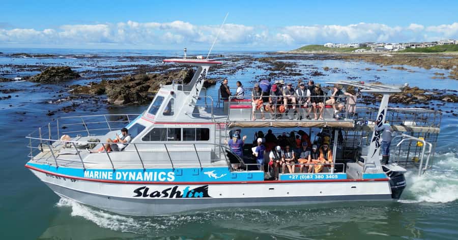 Cape Town: Gansbaai Eco-Friendly Shark Cage Diving Cruise - Key points to know before you book