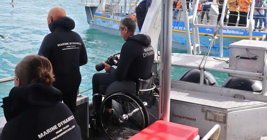 Cape Town: Gansbaai Eco-Friendly Shark Cage Diving Cruise - What the cage experience really feels like