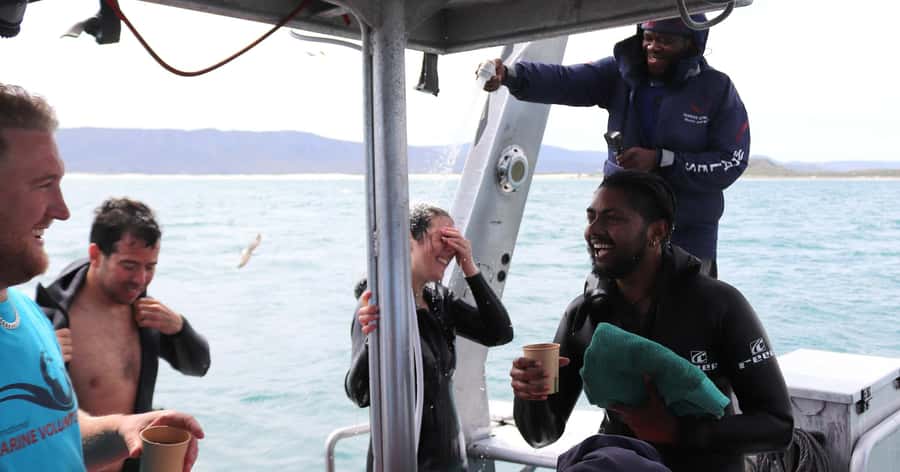 Cape Town: Gansbaai Eco-Friendly Shark Cage Diving Cruise - Bronze whalers, stingrays, seals, and changing expectations