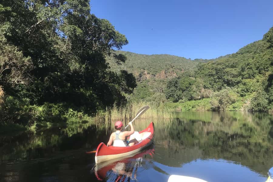 Cape Town: Garden Route and Addo Elephant Park 6-Day Safari - Why this route works in six busy days