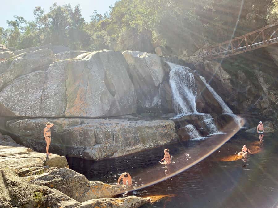 Cape Town: Garden Route and Addo Elephant Park 6-Day Safari - Day 4: Knysna Heads, Bloukrans, and Tsitsikamma