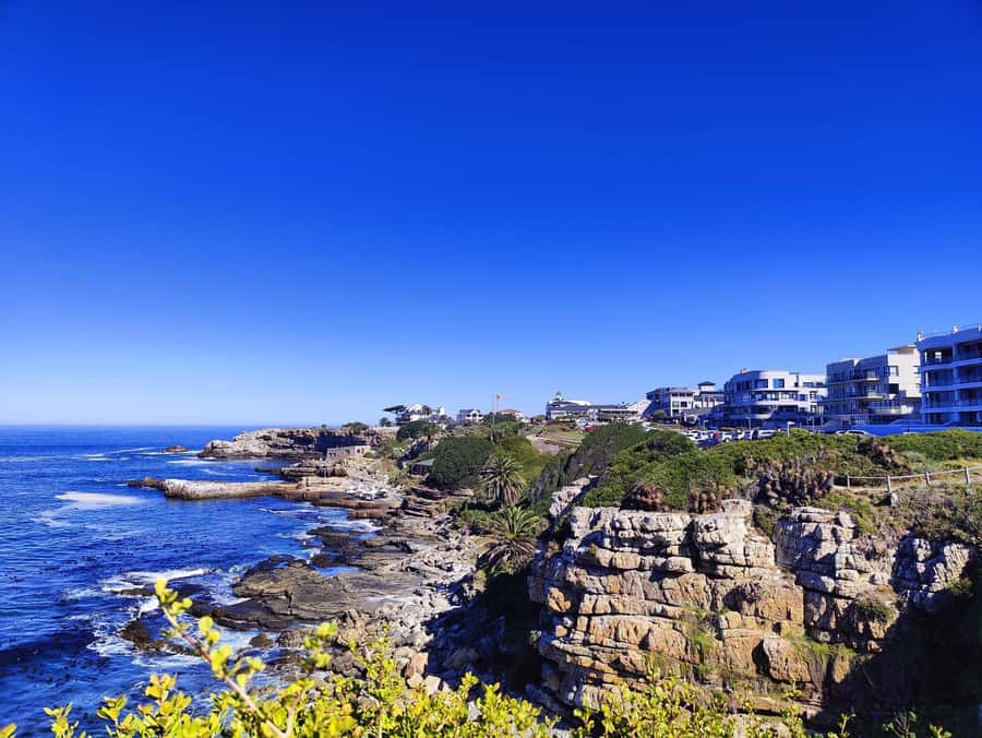 Cape Town: Garden Route and Addo Elephant Park 6-Day Safari - Day 6: Mossel Bay, cliff walking, and the return to Cape Town