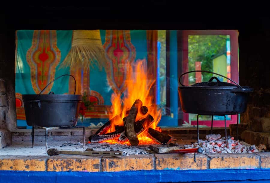 Cape Town: Garden Route and Addo Elephant Park 6-Day Safari - Accommodation, meals, and group style