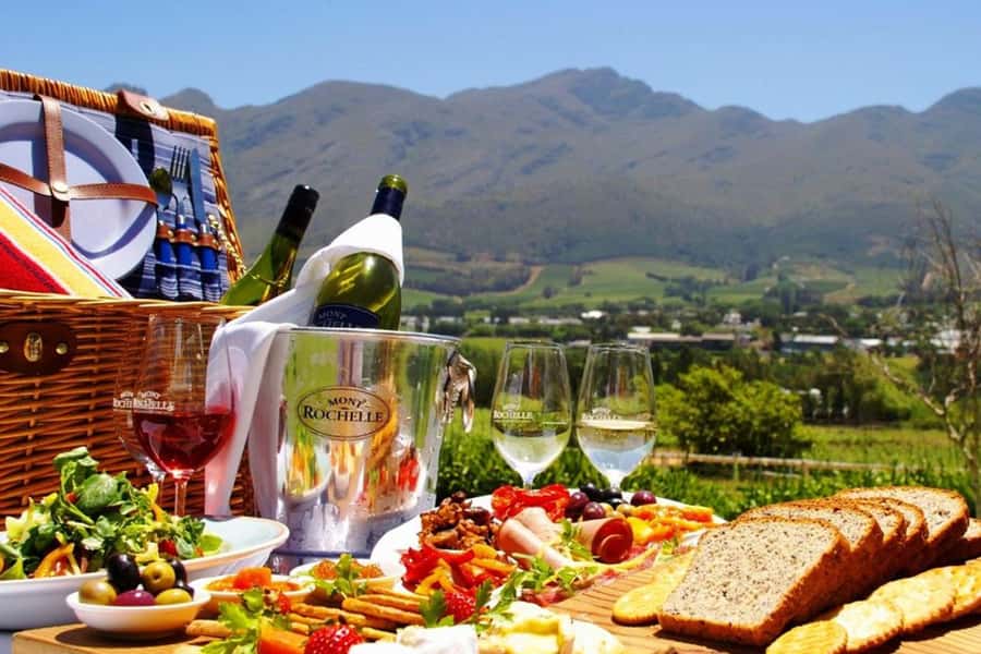 Cape Town: Giraffe House, Cheetah Encounter and Wine Tasting - Why this Cape Town day trip works