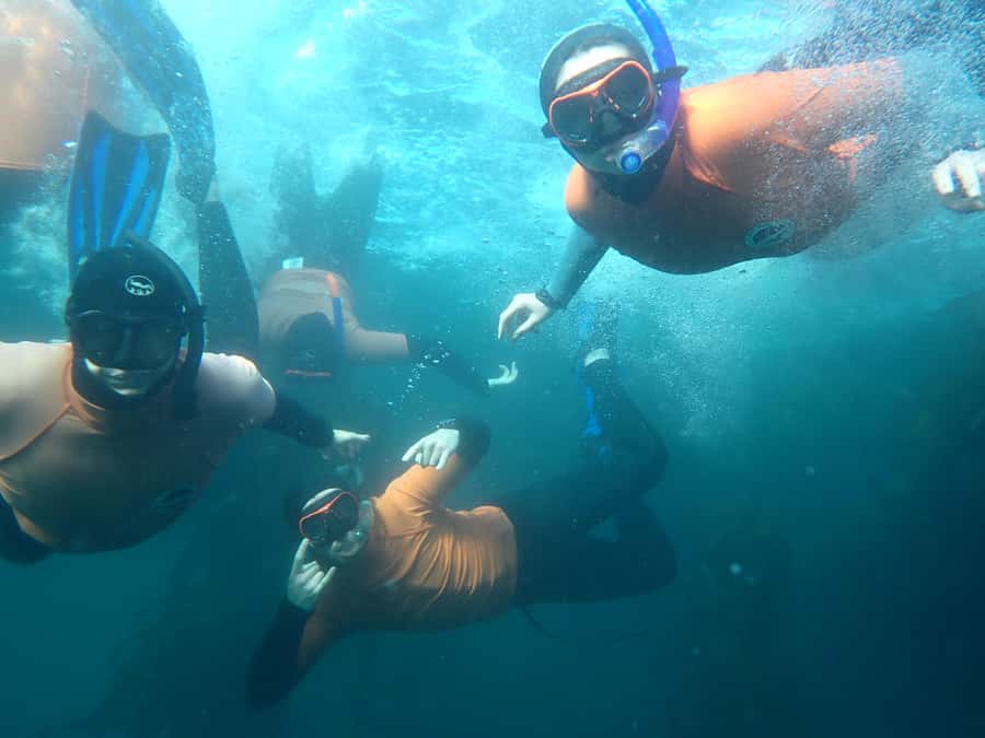 Cape Town: Great African Sea Forest Guided Snorkel - Getting comfortable in the Great African Sea Forest