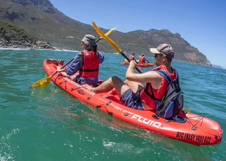 Cape Town: Guided Kayak Tour - Starting at Animal Ocean in Hout Bay