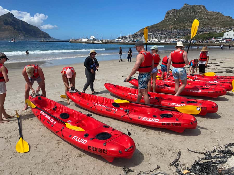 Cape Town: Guided Kayak Tour - Under the Jetties in Hout Bay’s Green Room