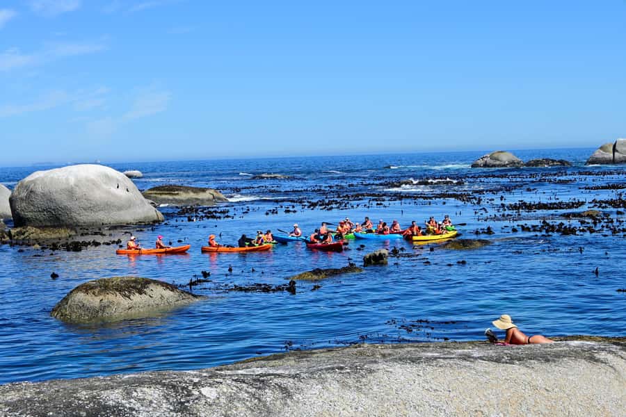 Cape Town: Guided Kayak Tour of Clifton Beaches & The Coast - The seal colony and the limits of wildlife