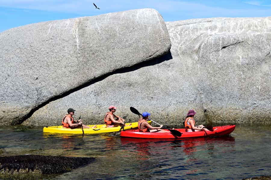 Cape Town: Guided Kayak Tour of Clifton Beaches & The Coast - Is $49 a fair price?