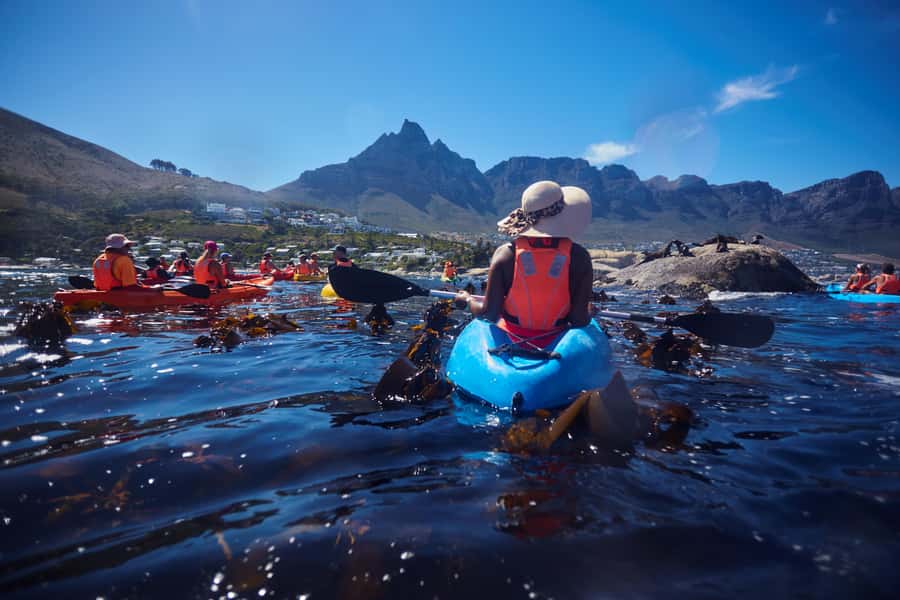 Cape Town: Guided Kayak Tour of Clifton Beaches & The Coast - Weather matters more than the calendar