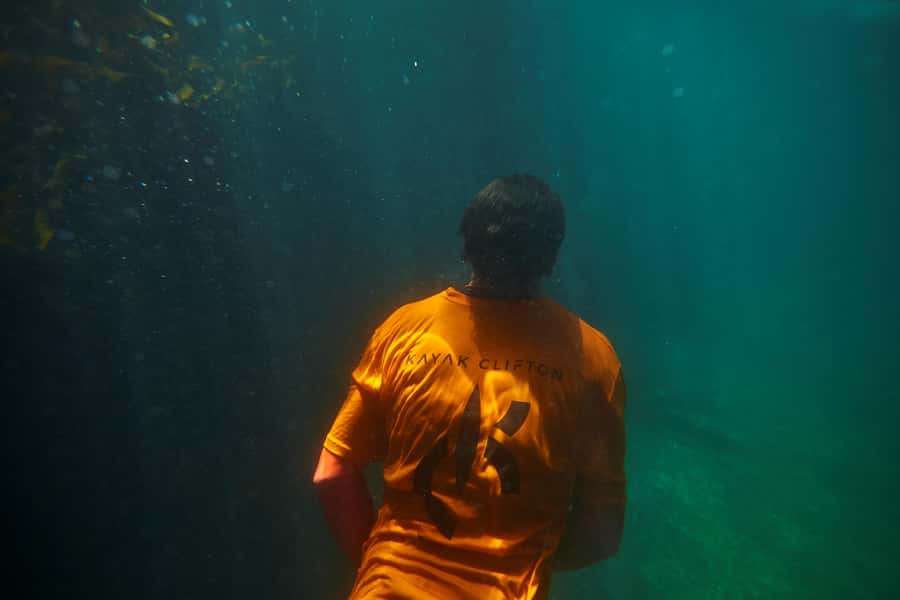Cape Town: Guided Kayak Tour of Clifton Beaches & The Coast - Who will enjoy this outing most?