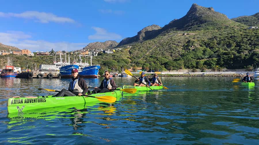 Cape Town: Guided Kayaking in Hout Bay - Meeting seals and searching for dolphins