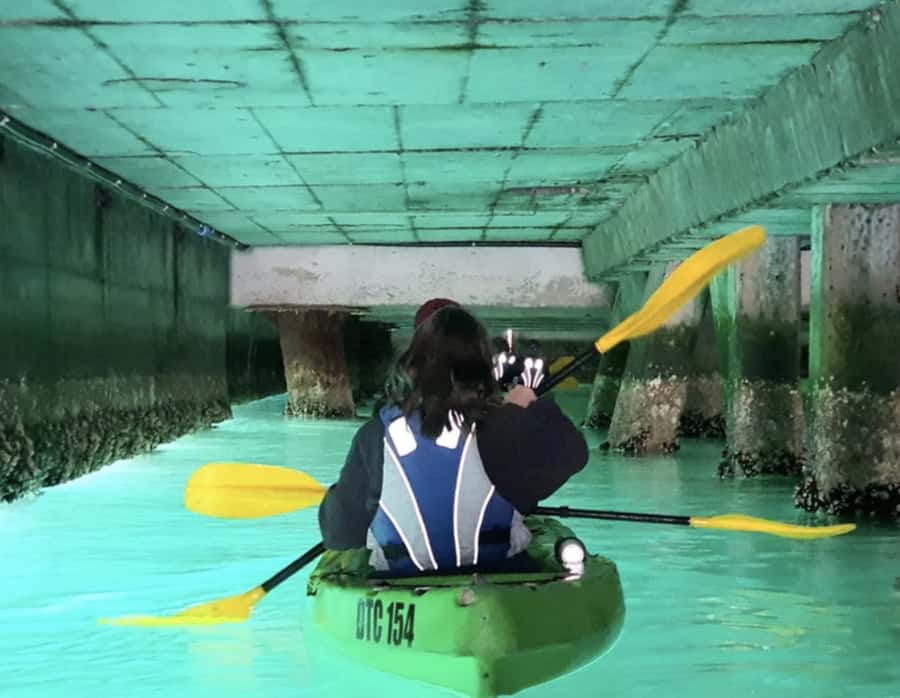 Cape Town: Guided Kayaking in Hout Bay - A practical start for first-time kayakers