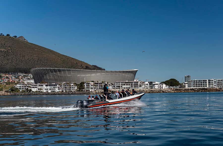 Cape Town: Guided Marine Wildlife Cruise and Cape Point Tour - Why the boat ride is the right way to begin
