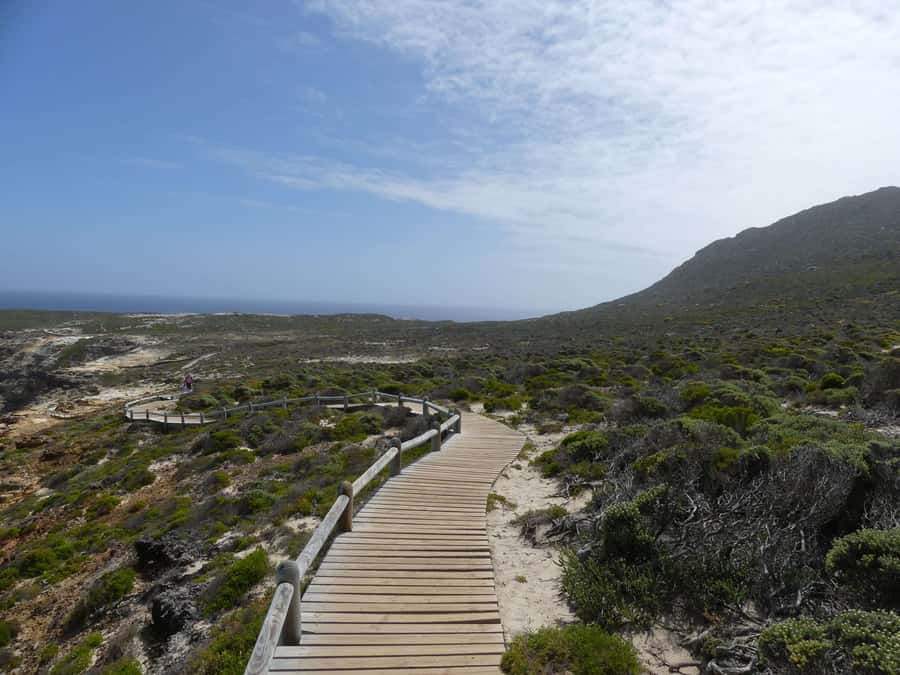 Cape Town: Guided Marine Wildlife Cruise and Cape Point Tour - What the $170 price really covers
