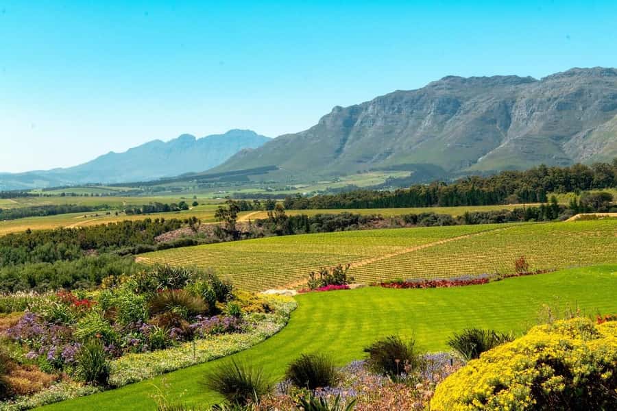 Cape Town: Guided Winelands Tour & Tasting in Stellenbosch - Key points to know before booking