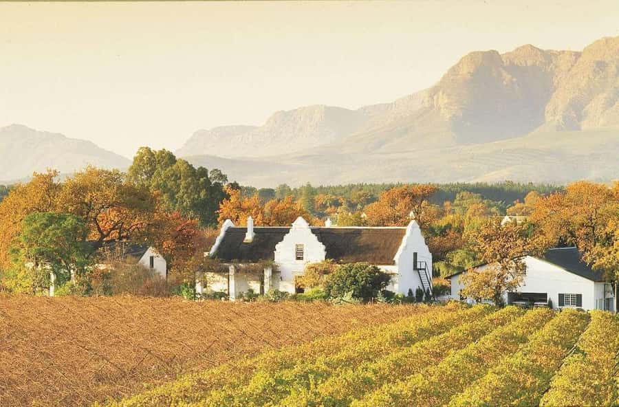 Cape Town: Guided Winelands Tour & Tasting in Stellenbosch - A short look at Stellenbosch town