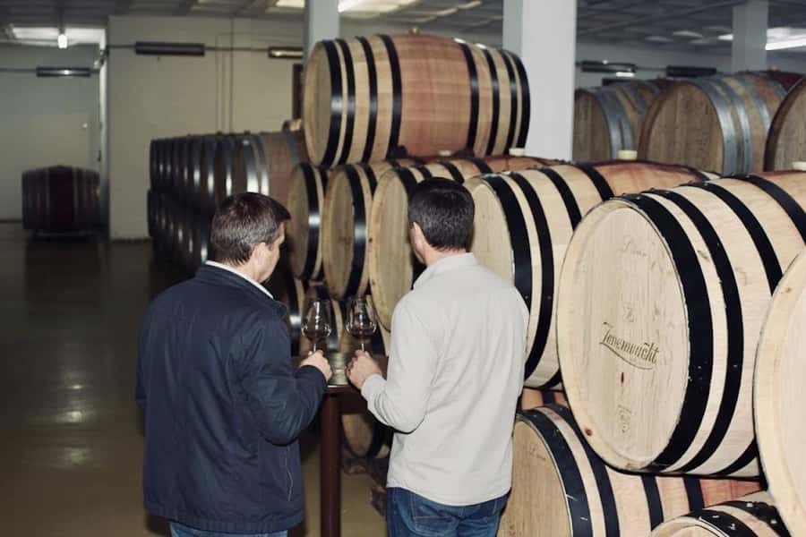 Cape Town: Guided Winelands Tour & Tasting in Stellenbosch - How the transport affects the experience