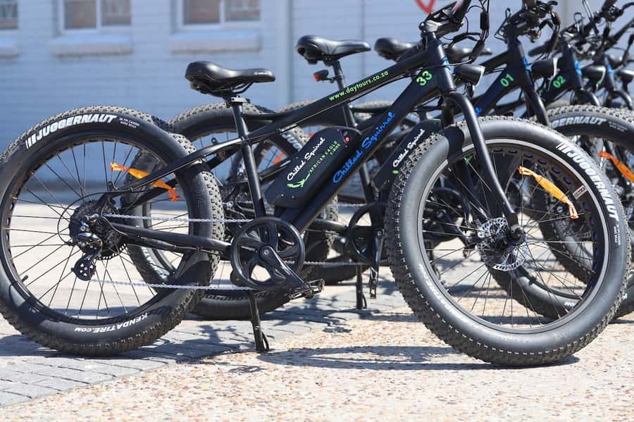 Cape Town: Half-Day e-Bike City Tour - The V&A Waterfront and the harbor ride