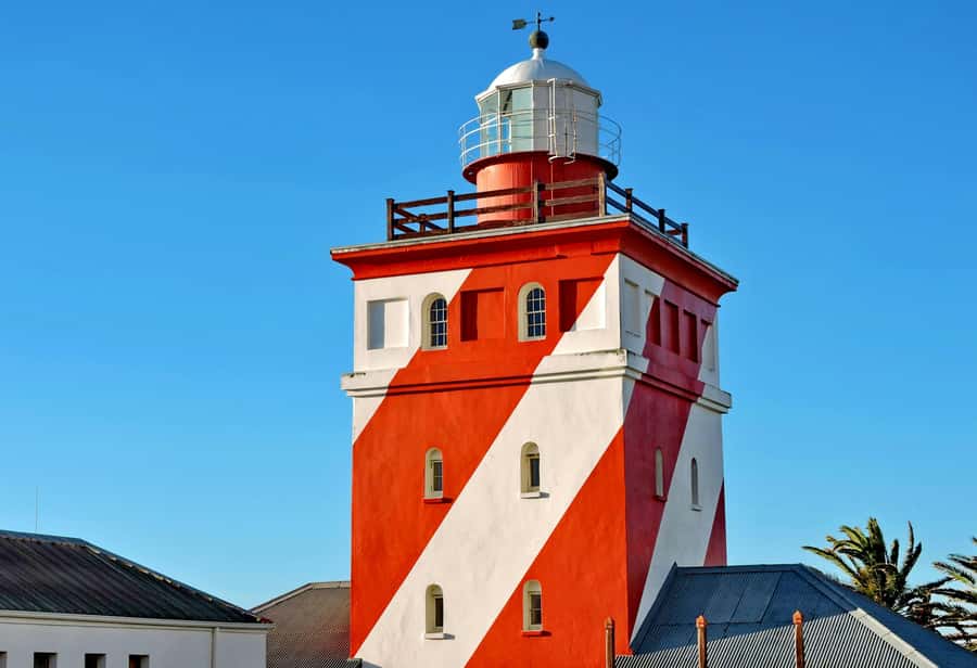 Cape Town: Half-Day e-Bike City Tour - Sea Point Walkway and Green Point Gardens