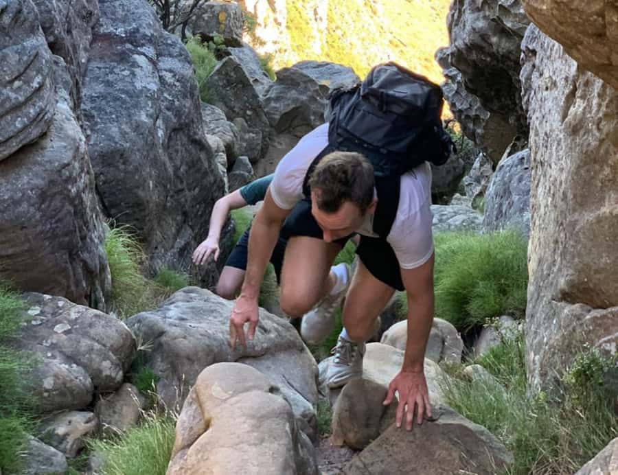 Cape Town: Half-Day India Venster Hike on Table Mountain - What the guide adds to the experience