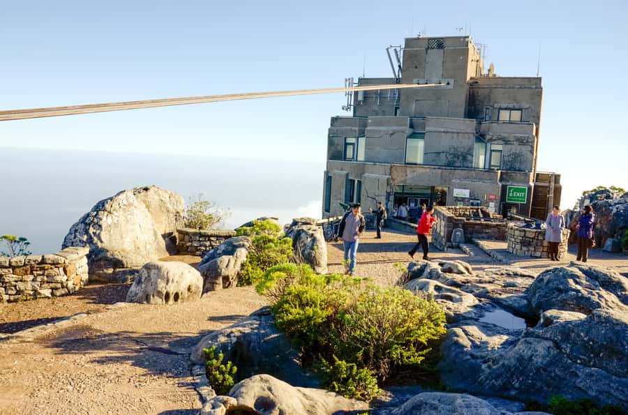 Cape Town: Half Day Table Mountain and Cape Town City Tour - Why this half-day tour works