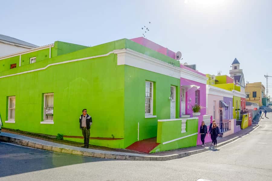 Cape Town: Half Day Table Mountain and Cape Town City Tour - The guides make the difference