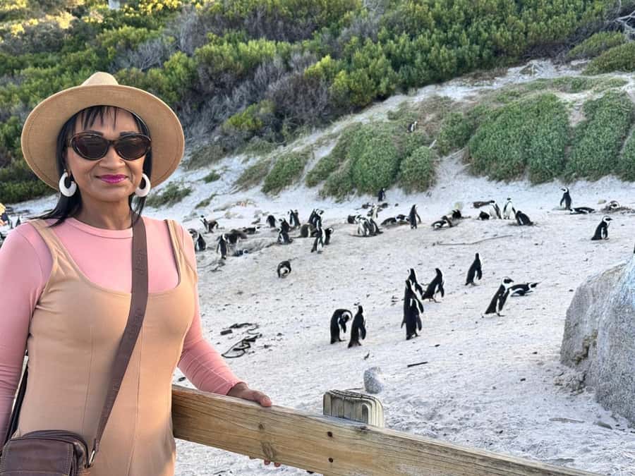 Cape Town: Half-Day Table Mountain and Penguin Group Tour - Table Mountain by cable car