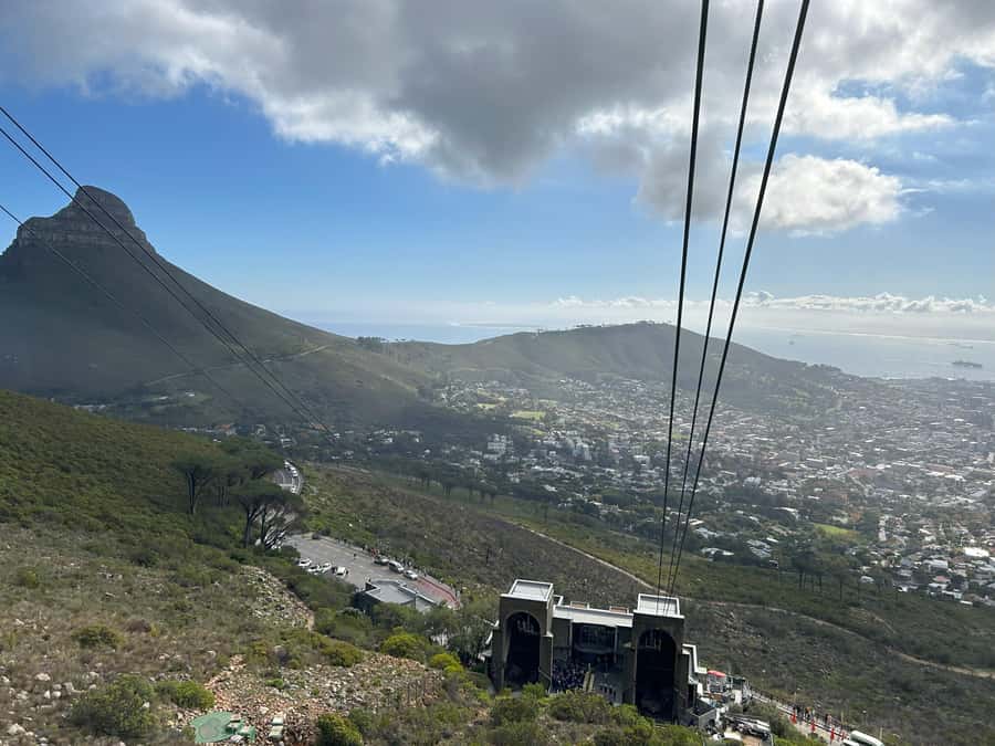 Cape Town: Half Day Table Mountain & Kirstenbosch Gardens - One morning, two very different Cape Town icons