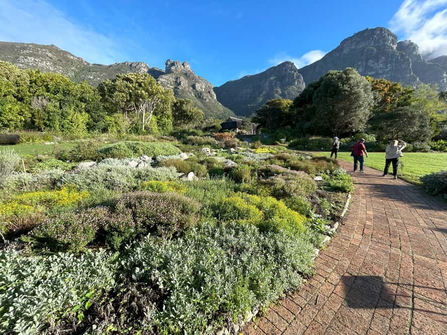 Cape Town: Half Day Table Mountain & Kirstenbosch Gardens - The drive toward Kirstenbosch and Constantia Nek