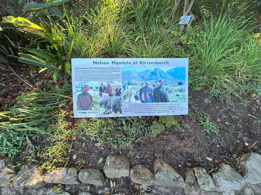Cape Town: Half Day Table Mountain & Kirstenbosch Gardens - Optional extras and the value of flexibility