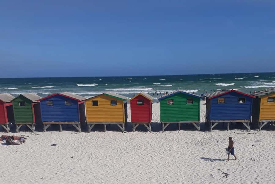 Cape Town: Halfday African Penguin tour - Hout Bay and the road toward Chapman’s Peak