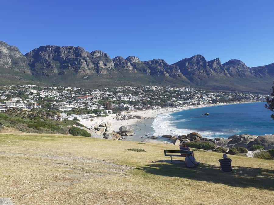 Cape Town: Halfday African Penguin tour - Chapman’s Peak Drive and the big view