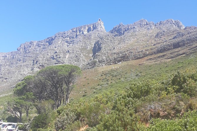 Cape Town Halfday City and Table Mountain Tour - Camps Bay and Maidens’ Cove along the Atlantic