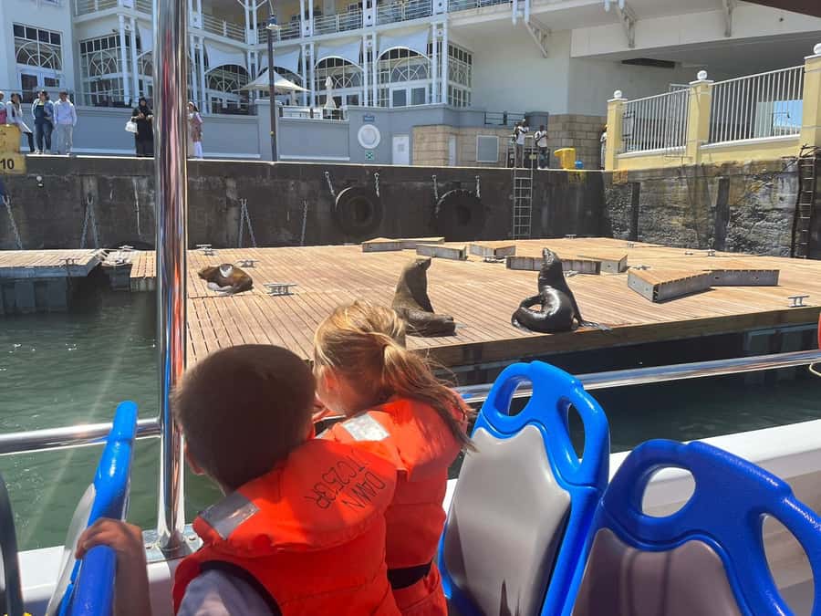 Cape Town: Harbor Cruise - The seals and other wildlife