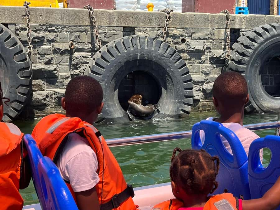 Cape Town: Harbor Cruise - What the guide adds to a short ride