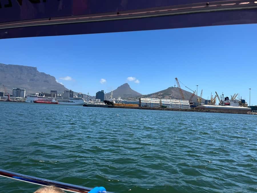 Cape Town: Harbor Cruise - Dawn, the 40-seat harbor boat