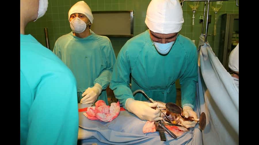 Cape Town: Heart of Cape Town Medical Museum Entrance Ticket - Seeing the organ removal and transplant rooms