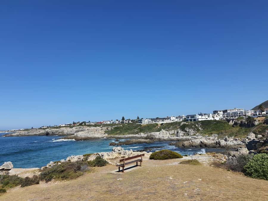Cape Town: Hermanus Whale Watching Shared Boat & Penguins - Key points to know before booking