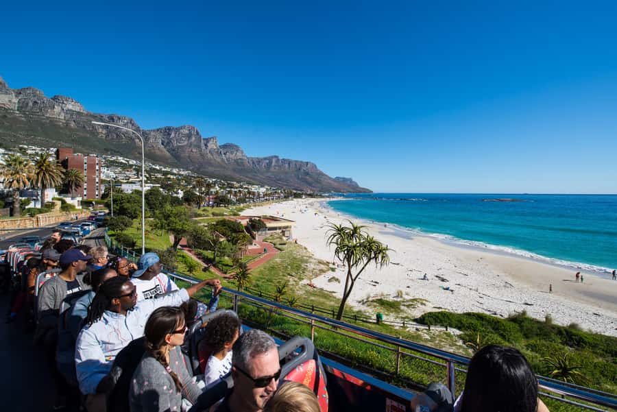 Cape Town: Hop-On Hop-Off Bus Tour with Optional Cruise - The purple route adds a short Constantia wine-country trip