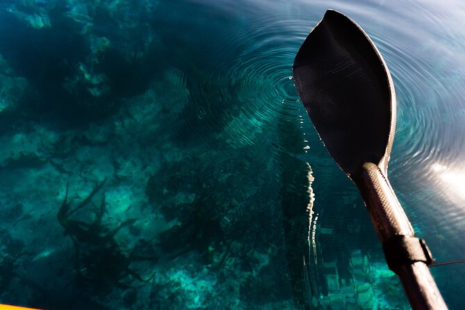Cape Town Kayak Adventure in Table Mountain Marine Reserve - Starting at Cape Town’s old Three Anchor Bay
