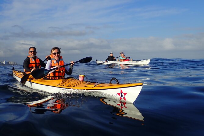Cape Town Kayak Adventure in Table Mountain Marine Reserve - Two possible routes along Table Bay