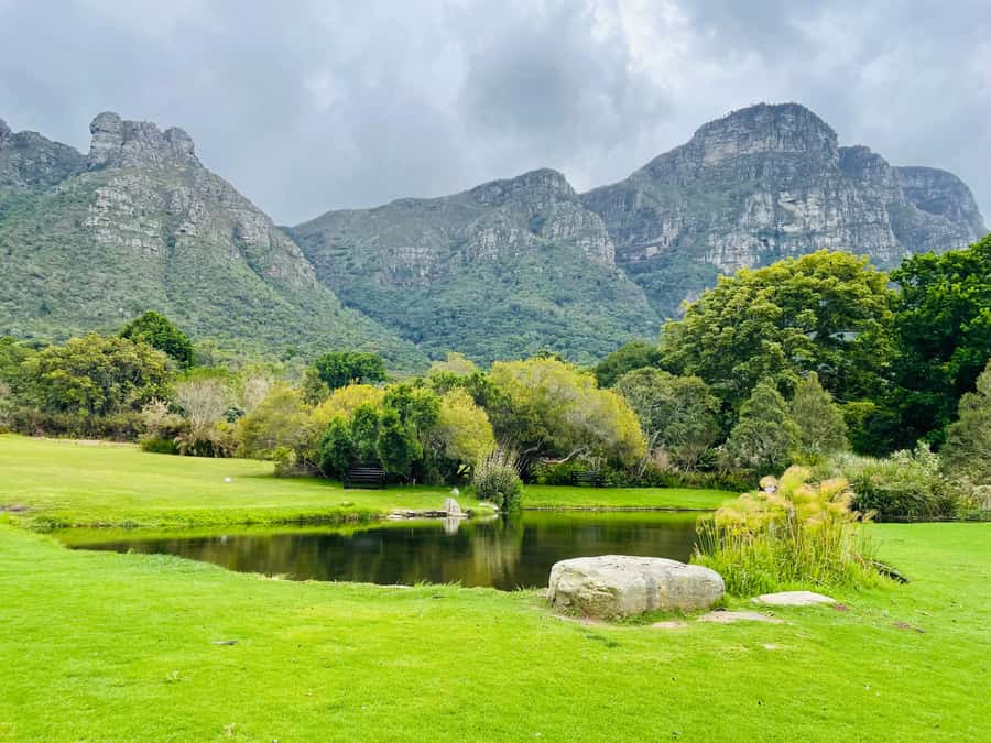 Cape Town: Kirstenbosch Botanical Garden Entry Ticket - Waterwise and Succulent gardens