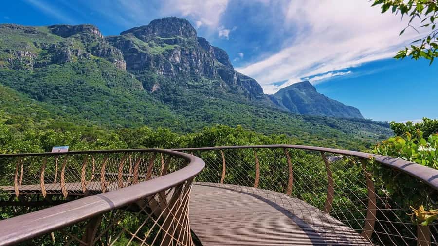 Cape Town: Kirstenbosch Botanical Garden Entry Ticket - How much time should you allow?